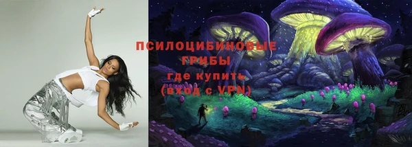 дмт Белокуриха