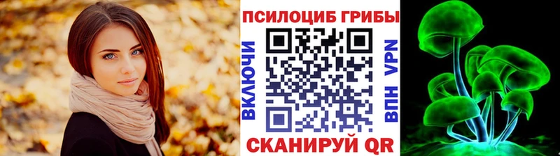 Купить  Апатиты  Галлюциногенные грибы Psilocybe 